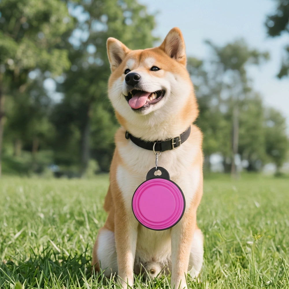 Tappwoo Travel Feed & Water Bowls for Dogs & Cats